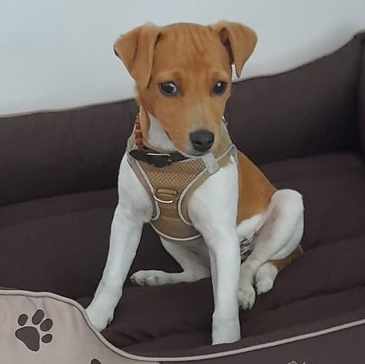 FG IMG-20220518-WA0015cut