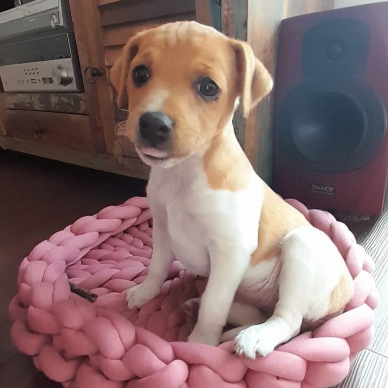 IMG-20230204-WA0005quad