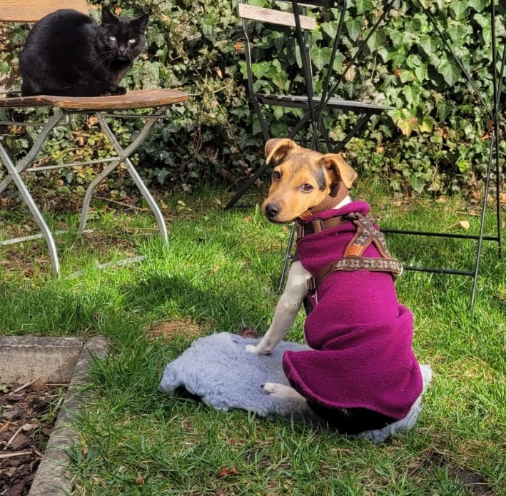 ALma-Liesel klein 03.25