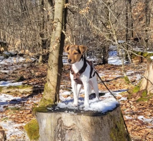 Alma-Liesel in der Rhön klein 03.25