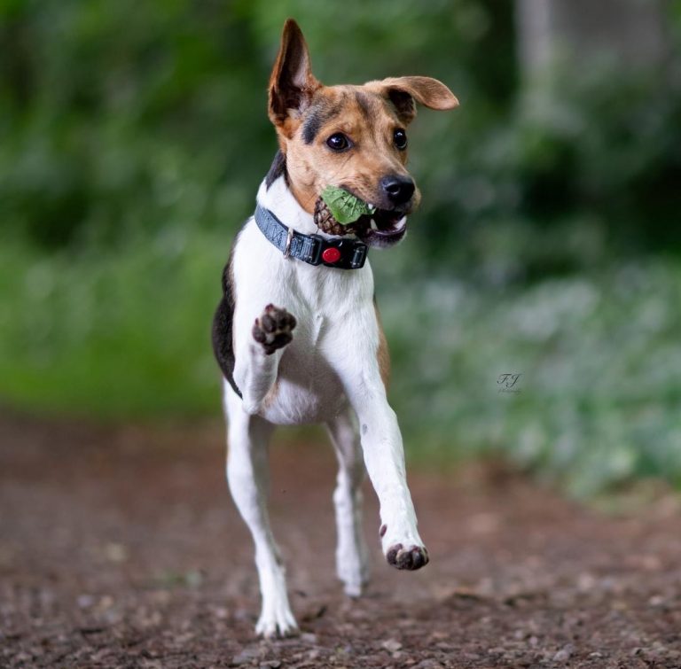 August 06.2025 -1-5 cut