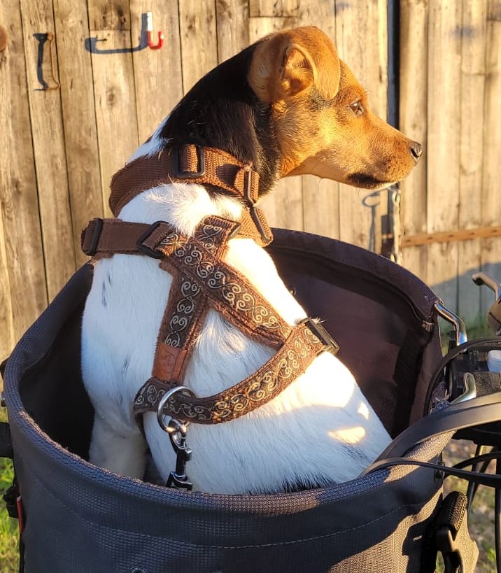 IMG-20250511-WA0008 klein