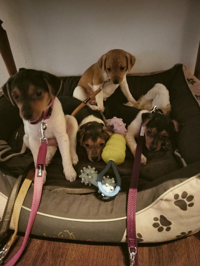 auf gehts am 1.1.25 Auto und U Bahn fahren